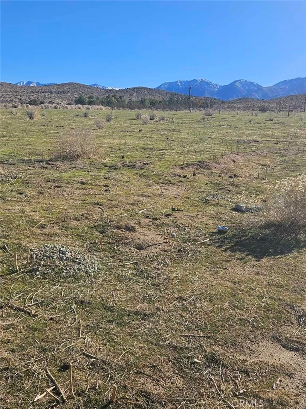 Additional image 3 of 111 Ste Drt Vic V14 Ste, Pearblossom, CA 93553