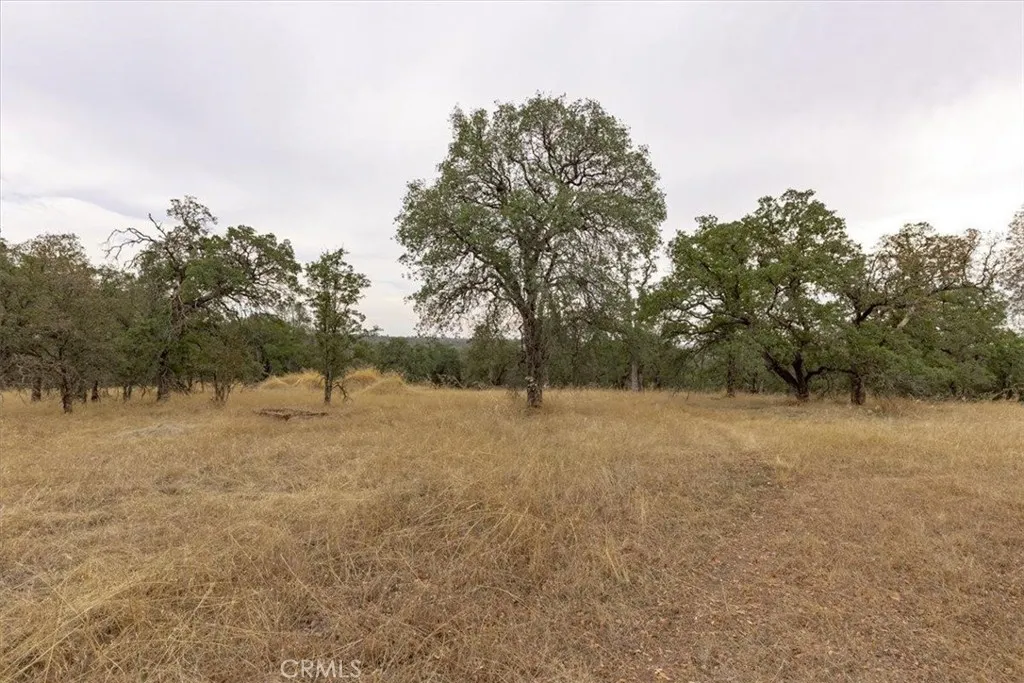 Additional image 42 of Inglewood, Oroville, CA 95966