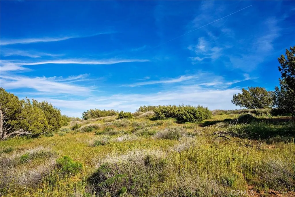 Additional image 67 of 48725 Shallow Springs Road N, Leona Valley, CA 93551