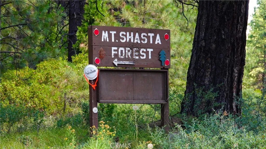 Additional image 52 of Echo Way, McCloud, CA 96057