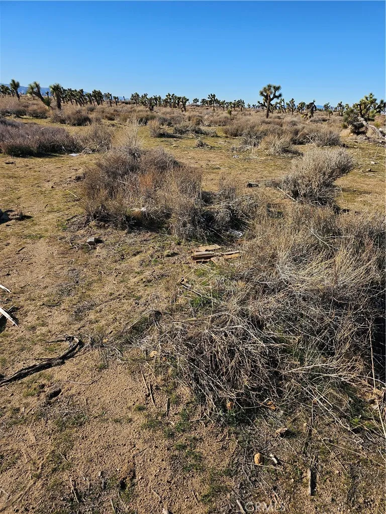 Additional image 4 of Division St, Palmdale, CA 93550