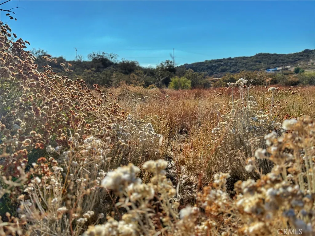 Additional image 30 of Rolling Hills, Aguanga, CA 92539