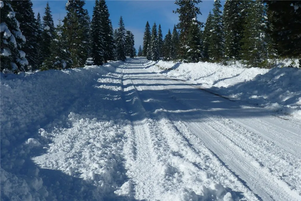 Additional image 32 of Echo Way, McCloud, CA 96057