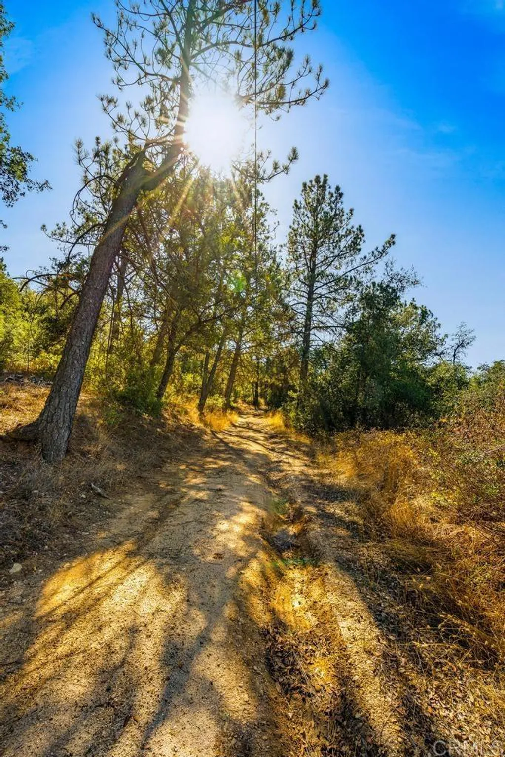 Additional image 20 of 120 Vacant Land Mesa Grande Road, Santa Ysabel, CA 92070