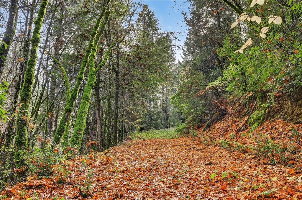 Additional image 35 of Burgundy Lane, Forest Ranch, CA 95942