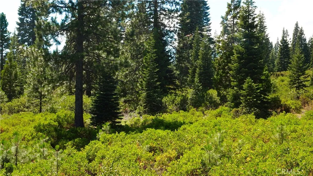 Additional image 2 of Echo Way, McCloud, CA 96057