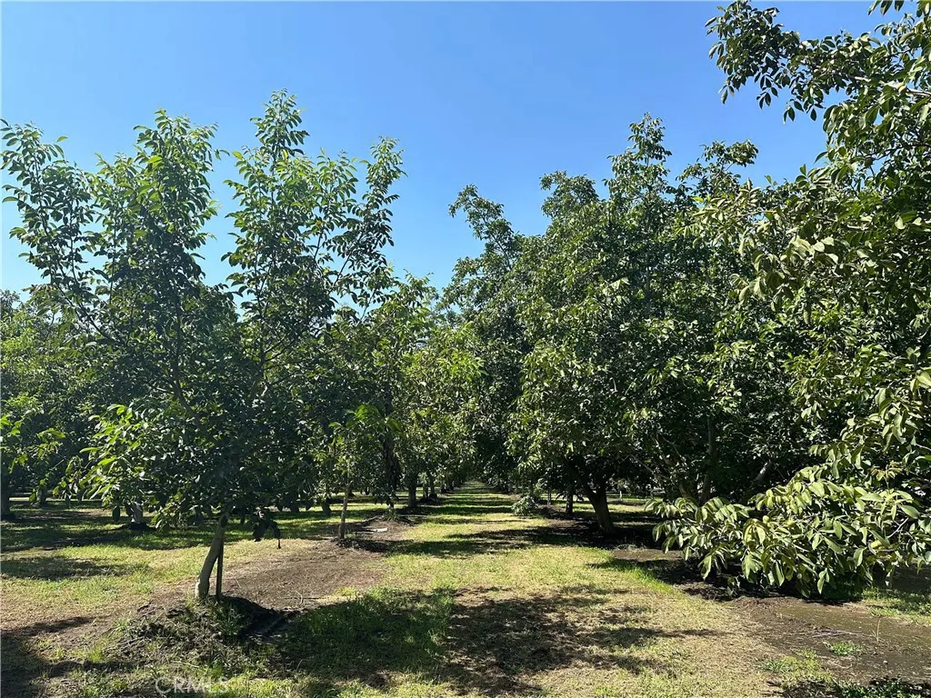 Additional image 18 of 4215 Stephens Road, Corning, CA 96021