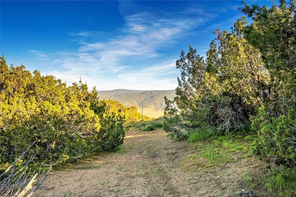 Additional image 34 of 48725 Shallow Springs Road N, Leona Valley, CA 93551