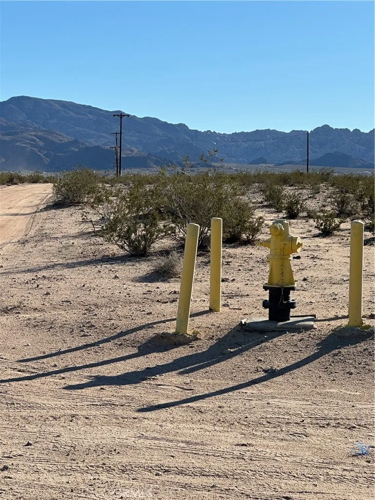 Additional image 5 of Nandia, 29 Palms, CA 92277