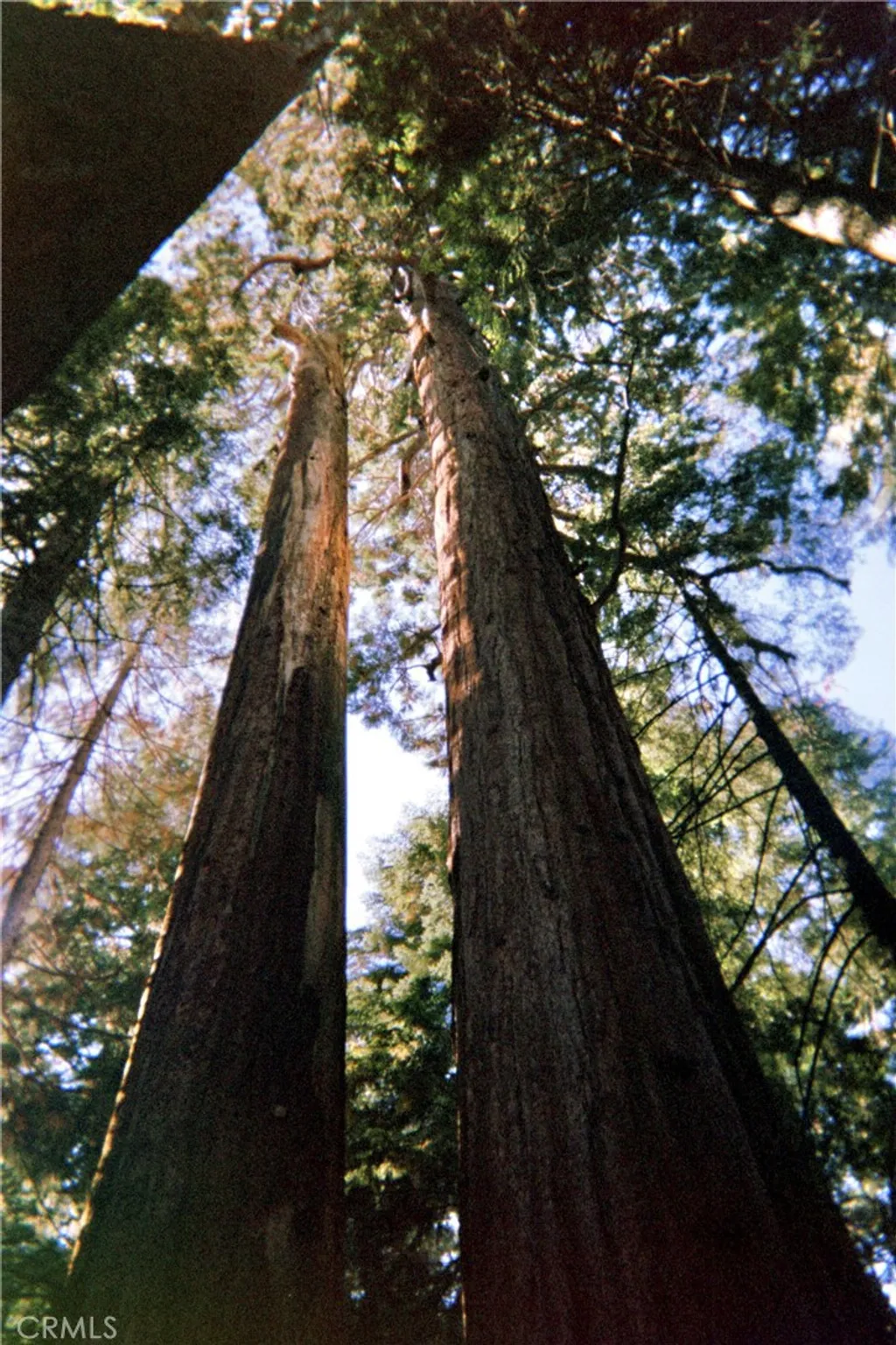 Additional image 2 of 54584 Ponderosa Drive, Springville, CA 93265