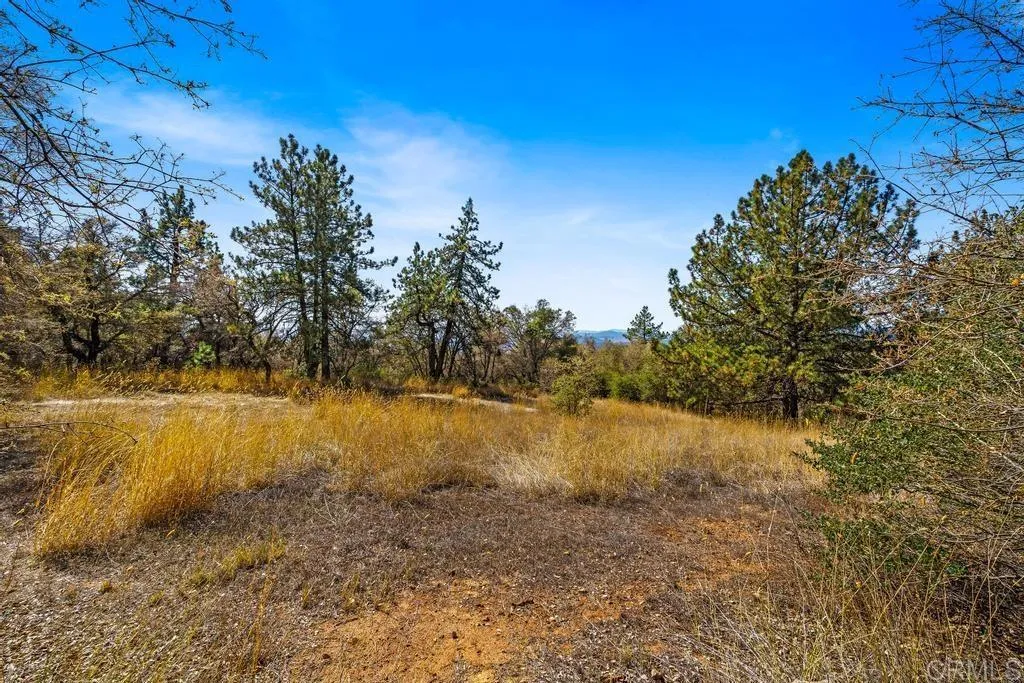 Additional image 47 of 120 Vacant Land Mesa Grande Road, Santa Ysabel, CA 92070