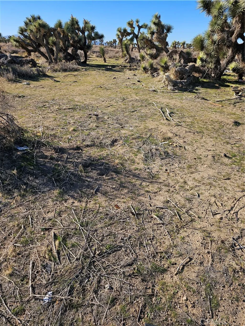 Additional image 2 of Division St, Palmdale, CA 93550