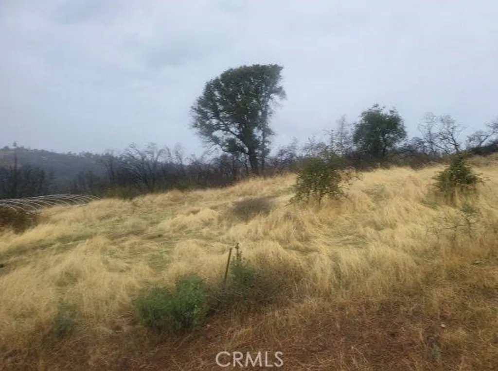 Additional image 7 of Pritchett, Berry Creek, CA 95916