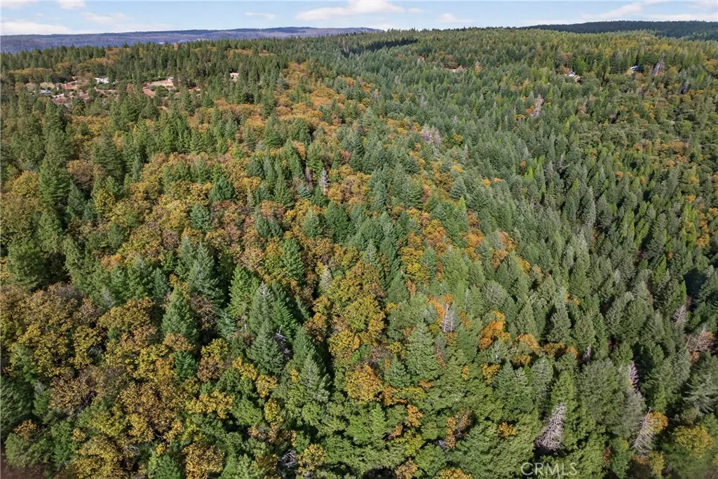 Additional image 19 of Burgundy Lane, Forest Ranch, CA 95942