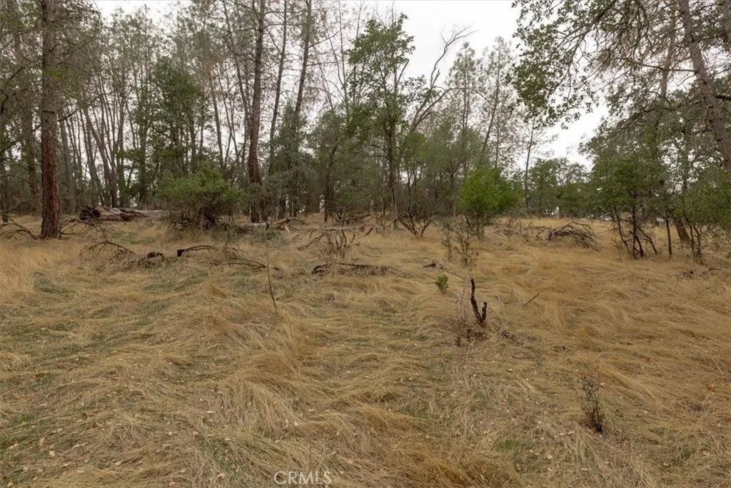 Additional image 70 of Inglewood, Oroville, CA 95966