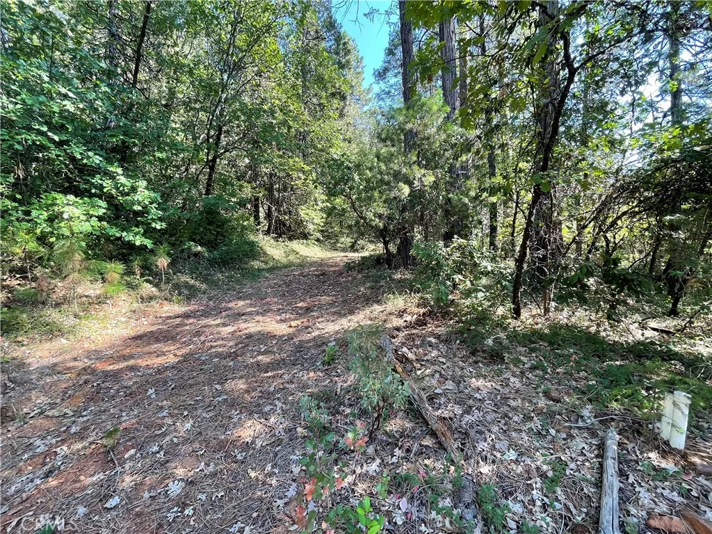 Additional image 13 of Forbestown, Challenge, CA 95925