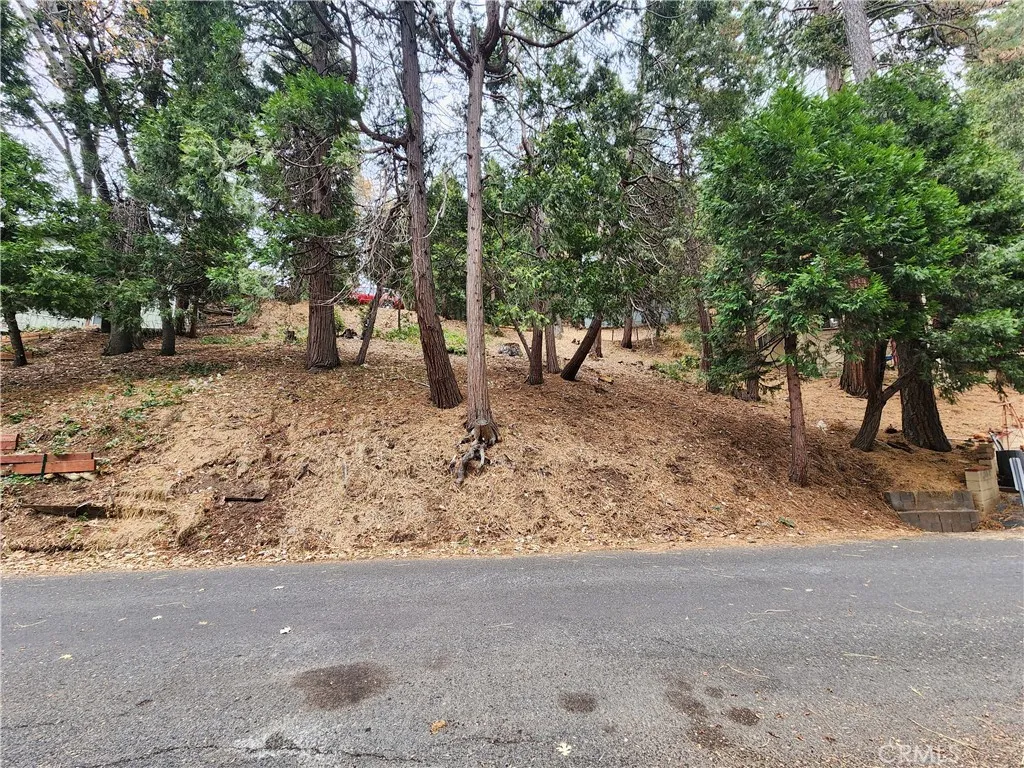 Additional image 6 of Horst Drive, Crestline, CA 92325