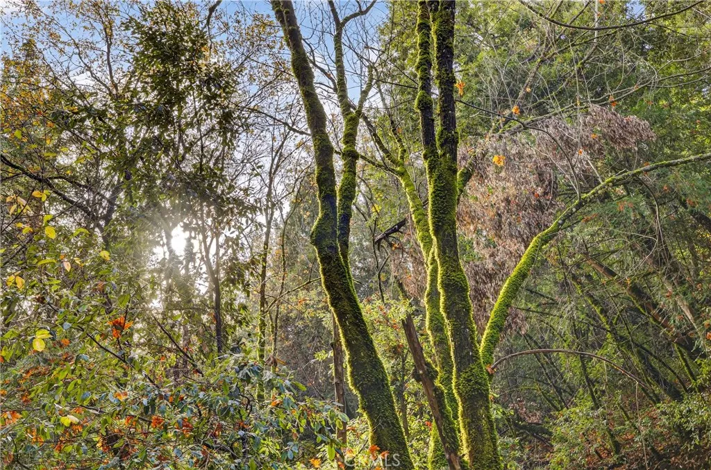 Additional image 39 of Burgundy Lane, Forest Ranch, CA 95942