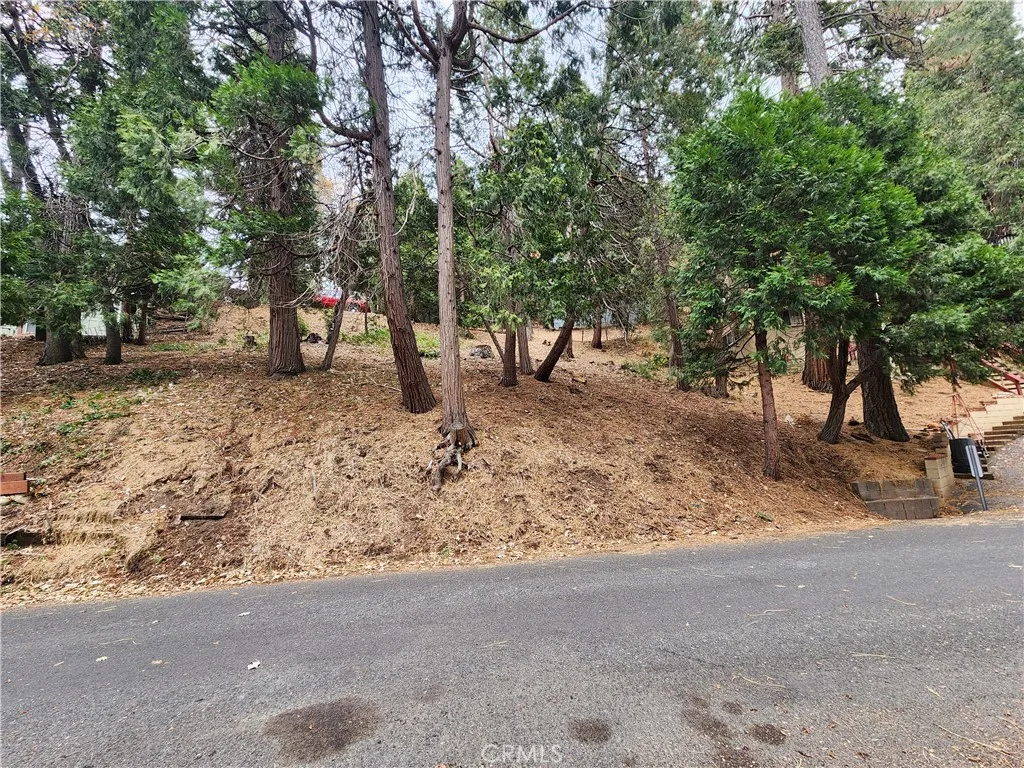 Additional image 29 of Horst Drive, Crestline, CA 92325