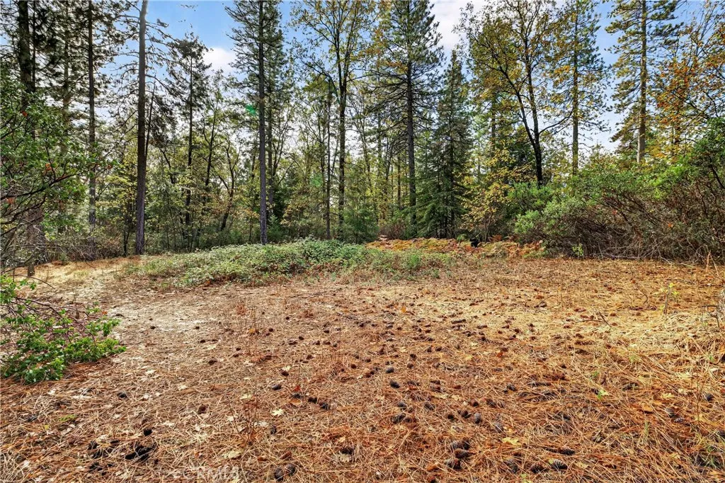 Additional image 38 of Burgundy Lane, Forest Ranch, CA 95942