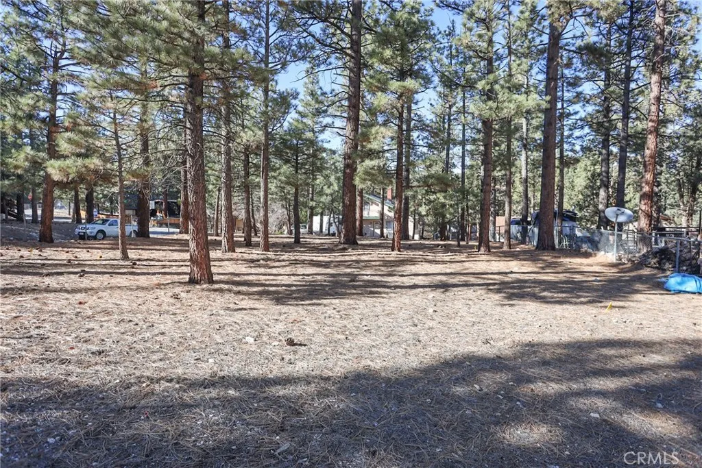 Additional image 7 of Dutch, Big Bear City, CA 92314