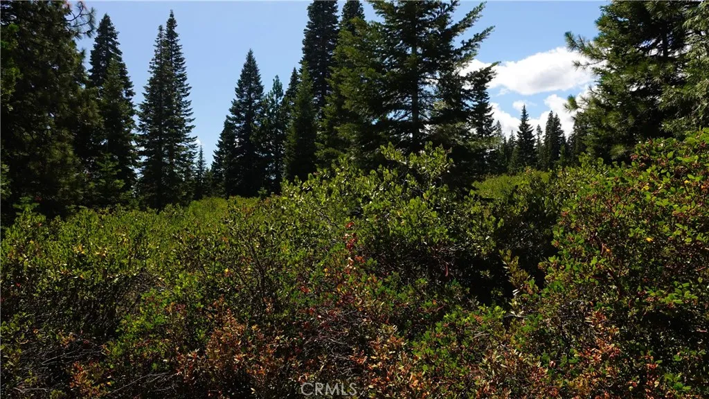 Additional image 41 of Echo Way, McCloud, CA 96057