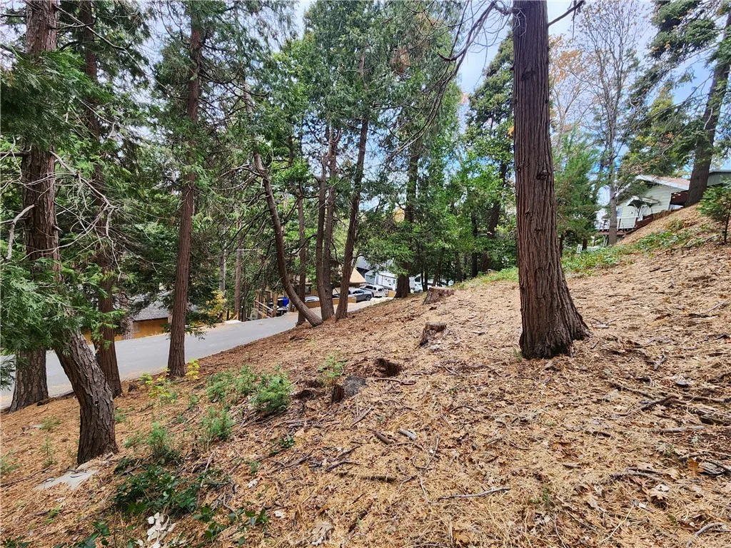 Additional image 9 of Horst Drive, Crestline, CA 92325