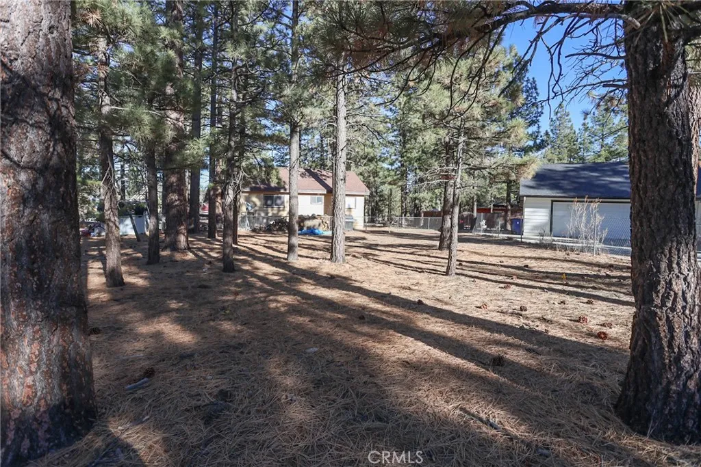 Additional image 6 of Dutch, Big Bear City, CA 92314