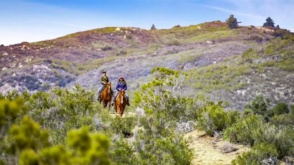 Additional image 68 of 55025 Roadrunner Way, Anza, CA 92539