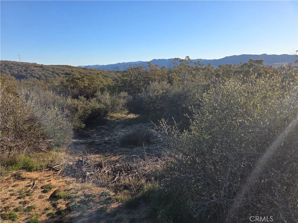 Additional image 9 of Everett, Anza, CA 92539