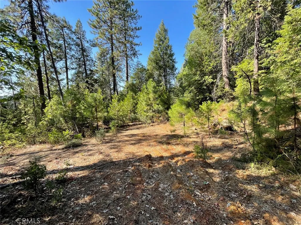 Additional image 9 of Forbestown, Challenge, CA 95925