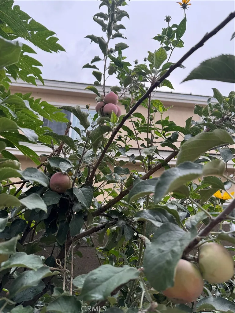 Additional image 60 of 5704 Sultana Avenue Unit D, Temple City, CA 91780