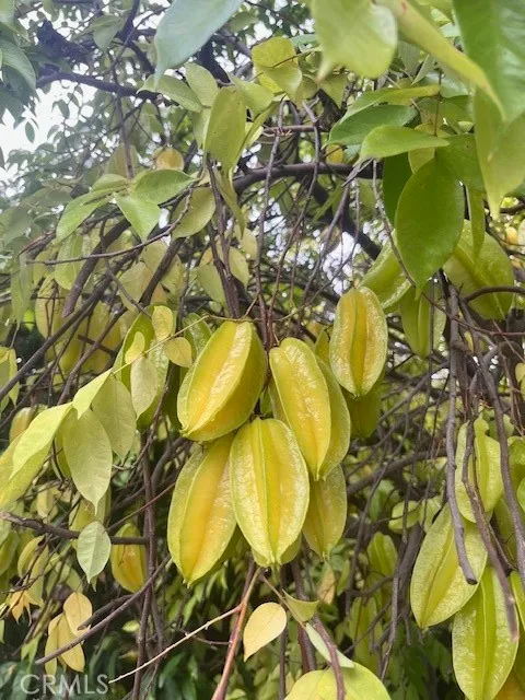 Additional image 18 of 6752 Oak Avenue, Arcadia, CA 91007