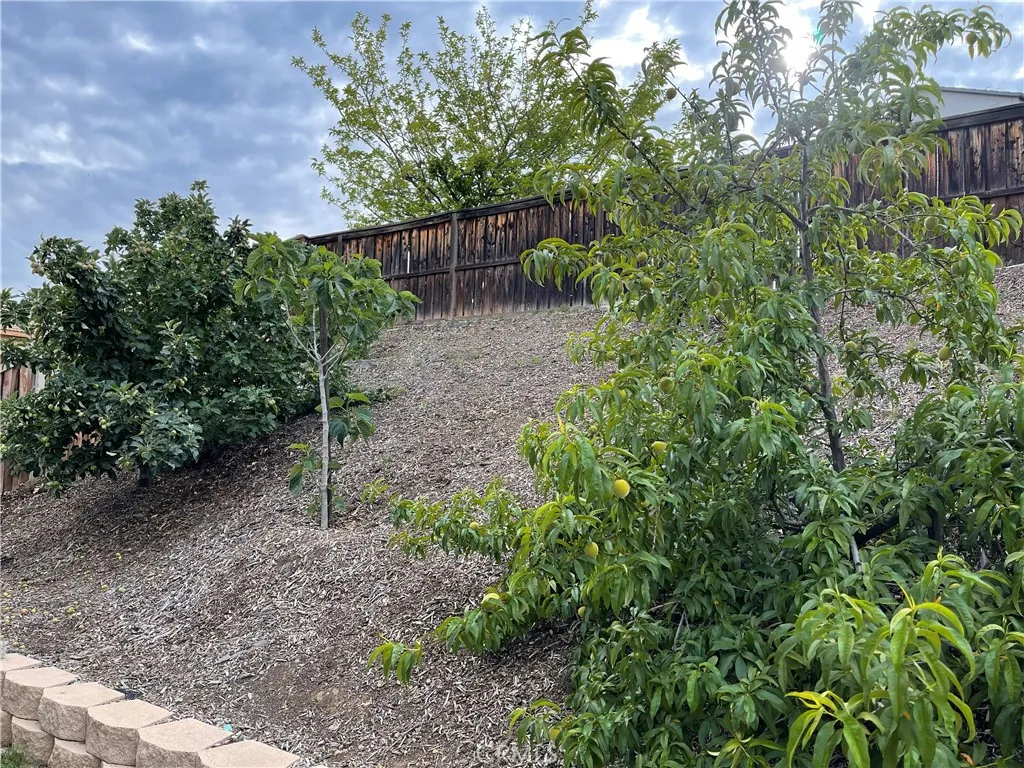 Additional image 43 of 38017 Greenleaf Pl, Murrieta, CA 92562