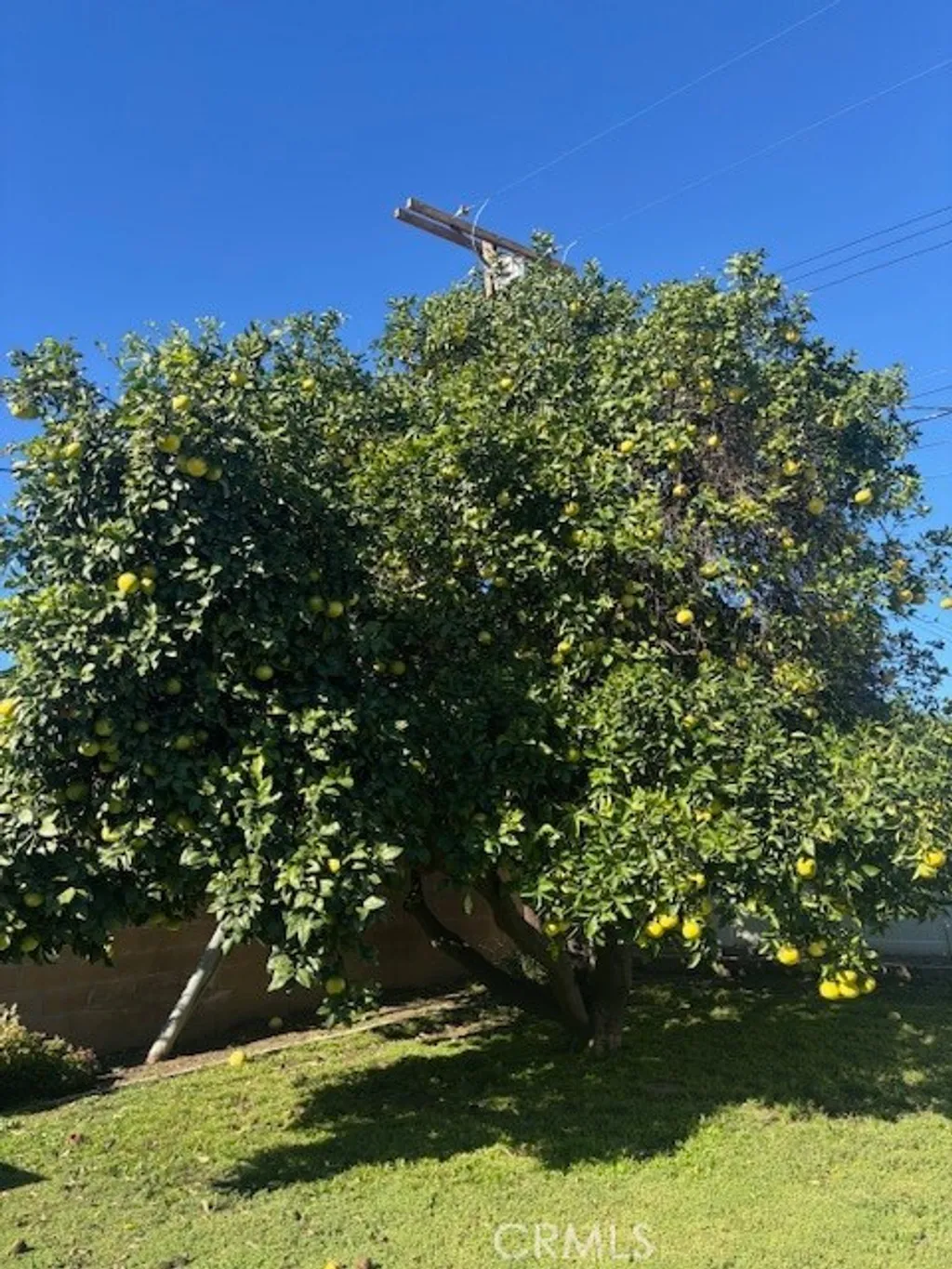 Additional image 15 of 16245 Londelius, North Hills, CA 91343