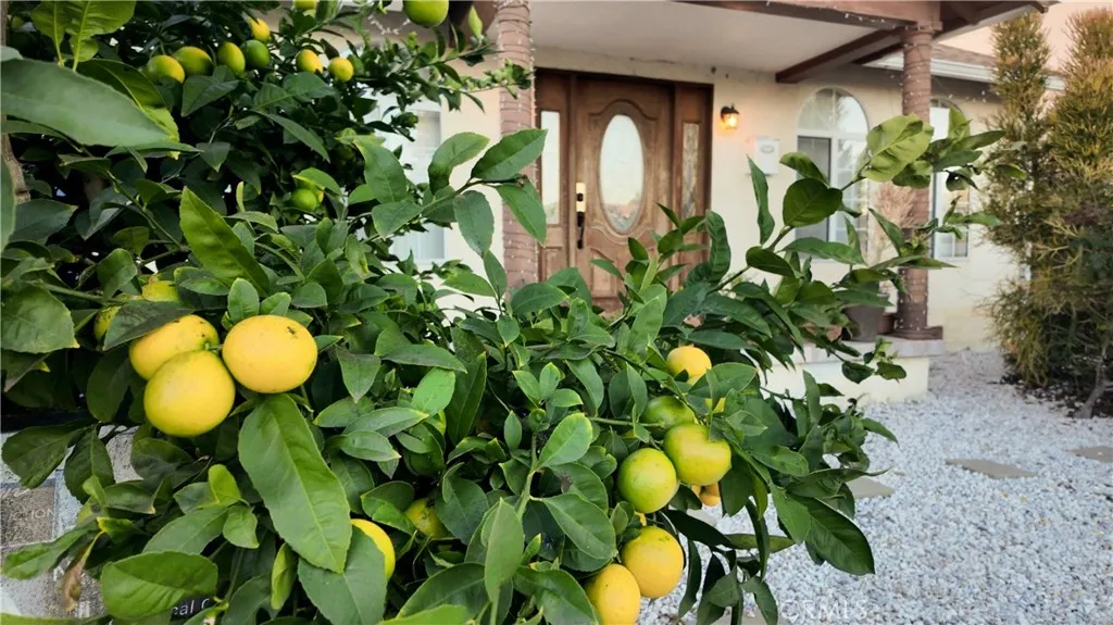 Additional image 48 of 1907 Carmona, Los Angeles, CA 90016