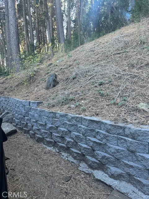 Additional image 28 of 480 Mozumdar Dr, Cedarpines Park, CA 92322