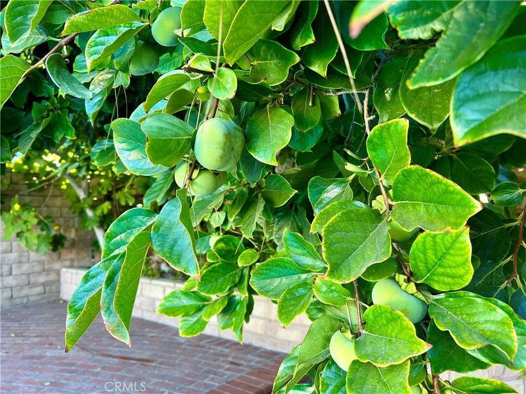 Additional image 53 of 16754 Armstead Street, Granada Hills, CA 91344