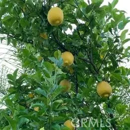 Additional image 37 of 1320 3 Ranch, Duarte, CA 91010