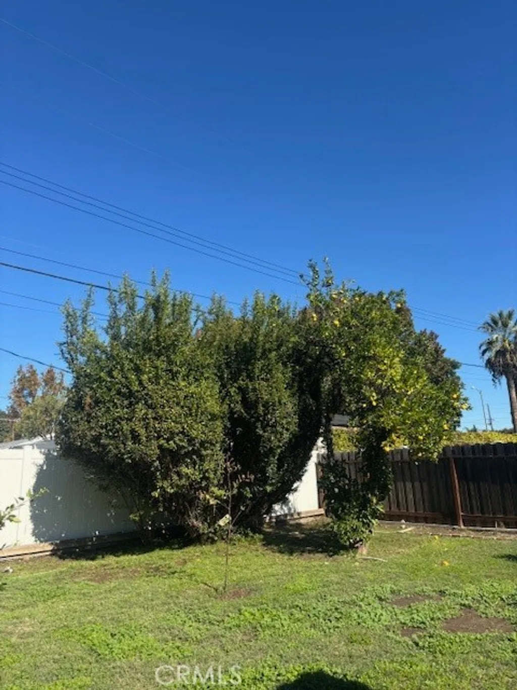 Additional image 16 of 16245 Londelius, North Hills, CA 91343