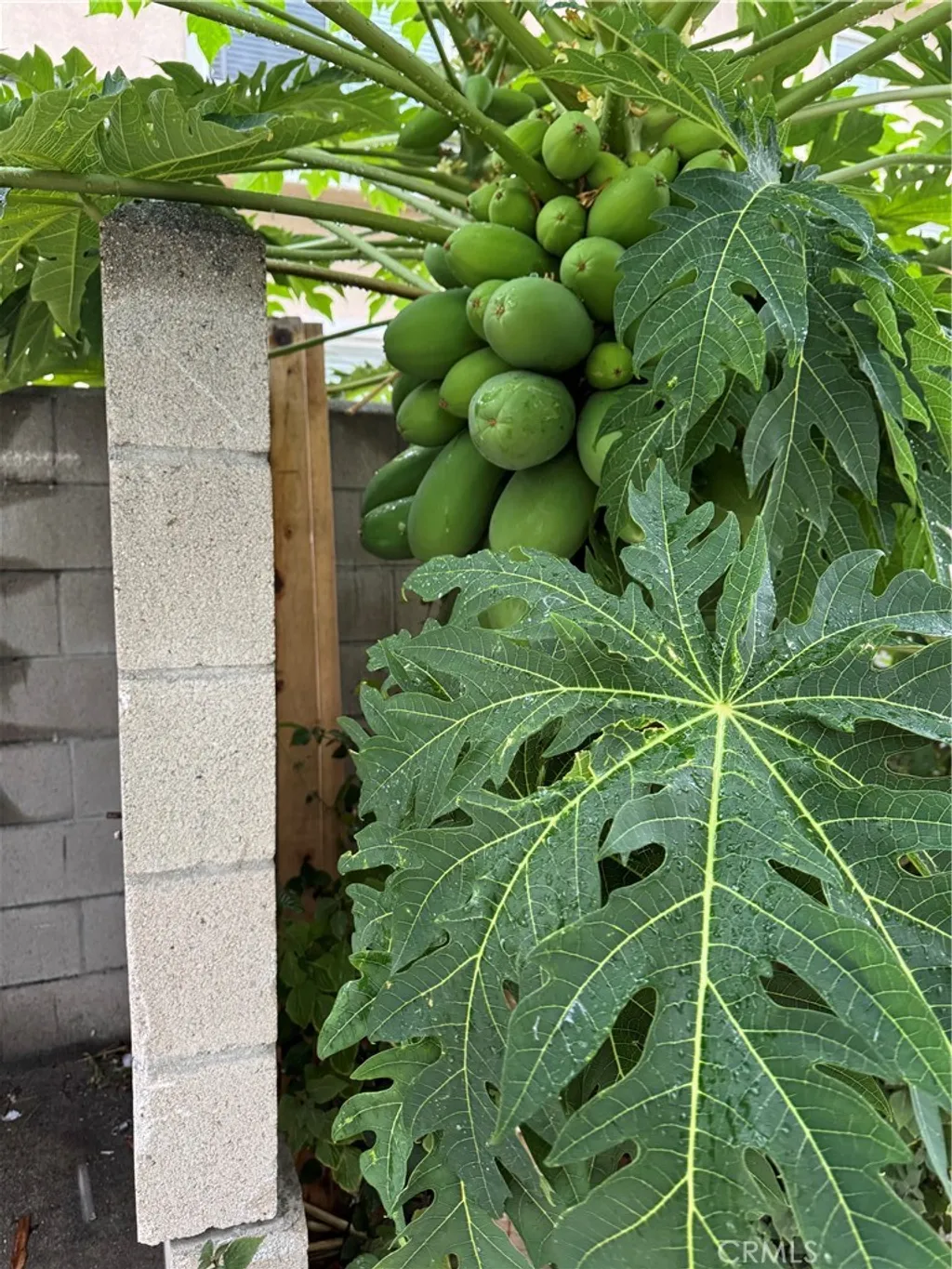 Additional image 31 of 5704 Sultana Avenue Unit D, Temple City, CA 91780