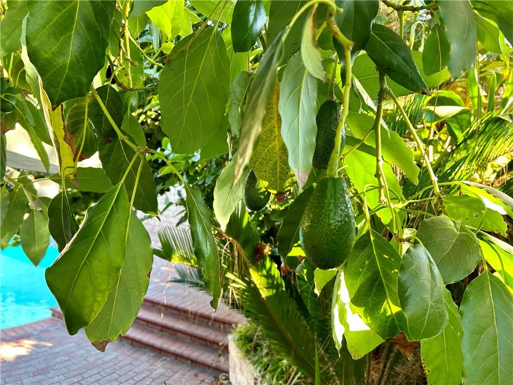 Additional image 25 of 16754 Armstead Street, Granada Hills, CA 91344