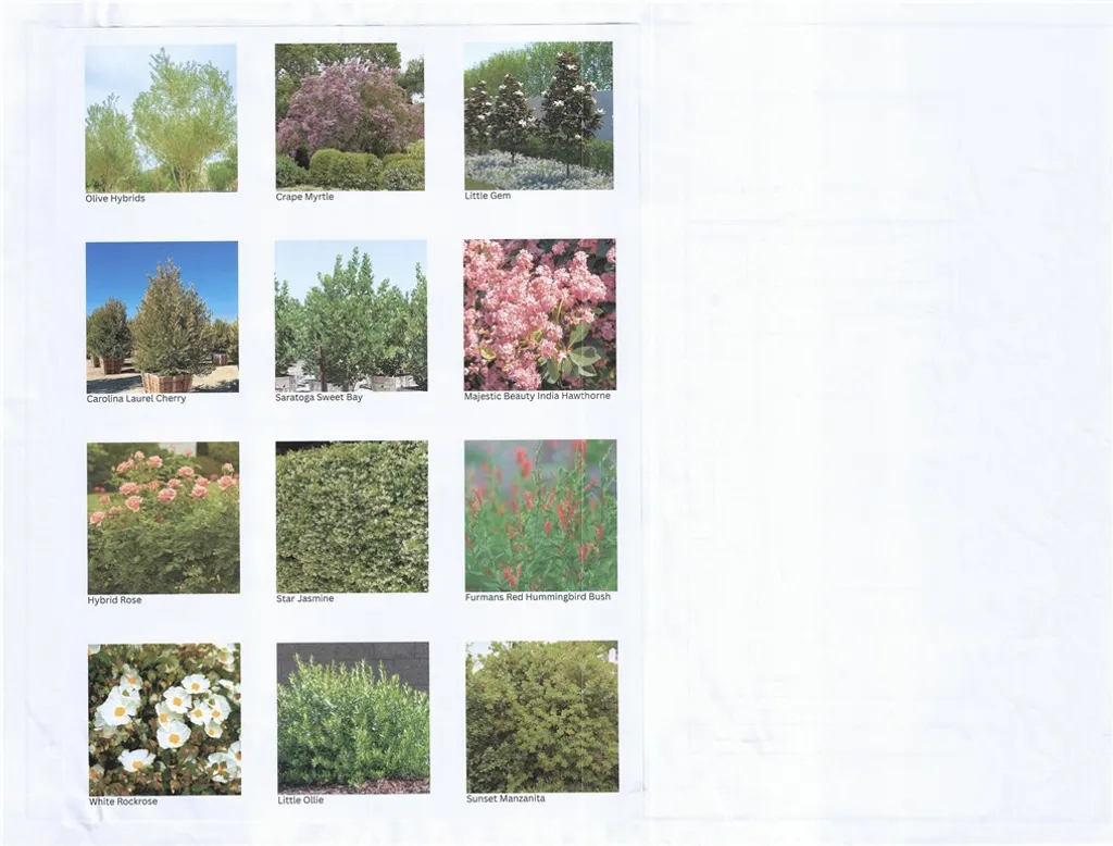 Additional image 5 of 128 Creation, Irvine, CA 92618