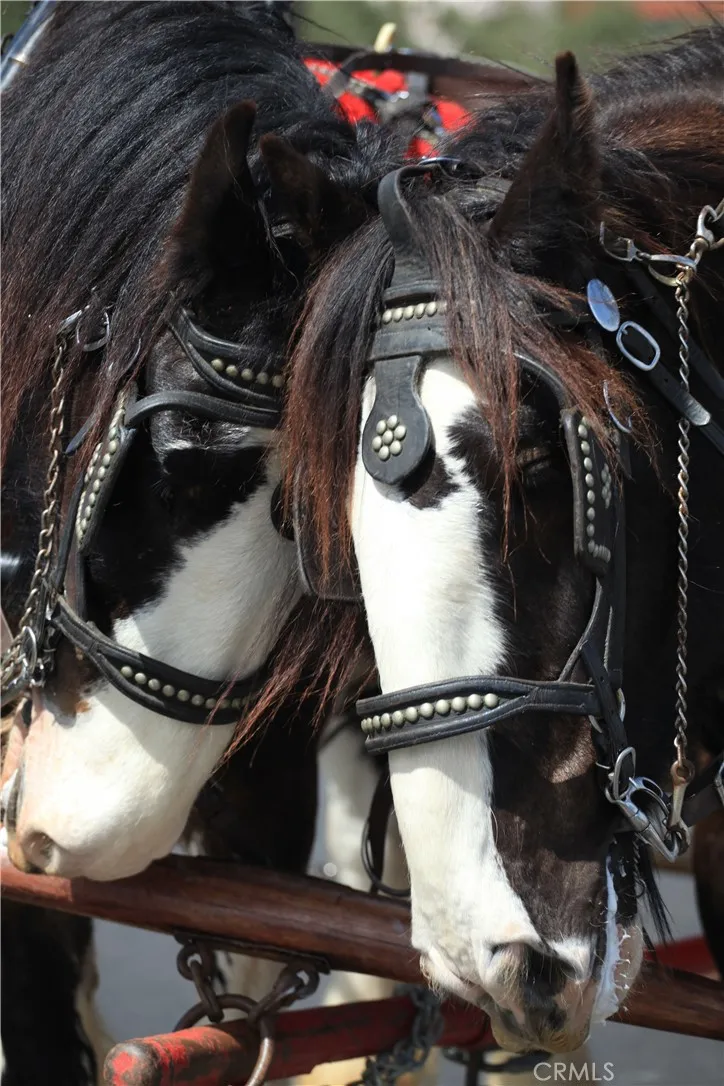 Additional image 58 of 28111 Via Rueda, San Juan Capistrano, CA 92675