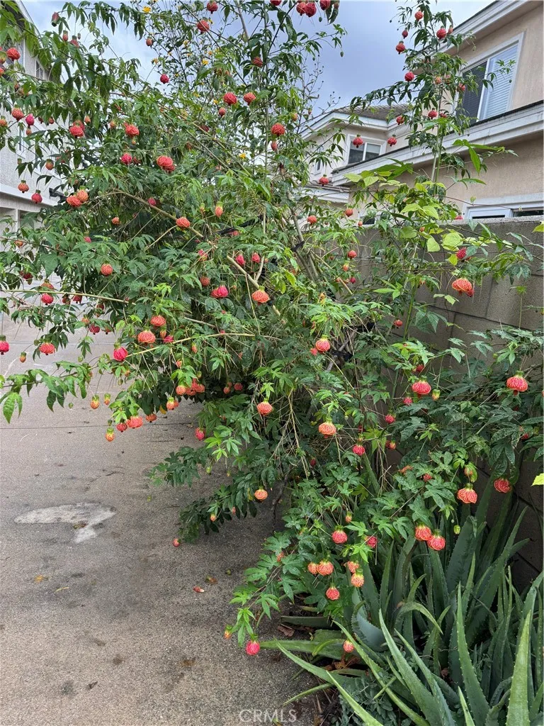 Additional image 61 of 5704 Sultana Avenue Unit D, Temple City, CA 91780