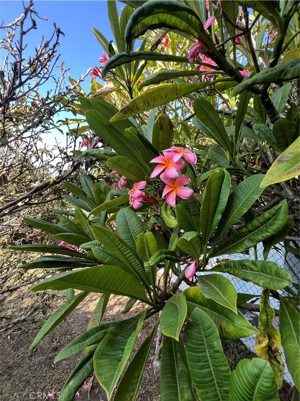 Additional image 6 of 1355 W 49th St, Los Angeles, CA 90037