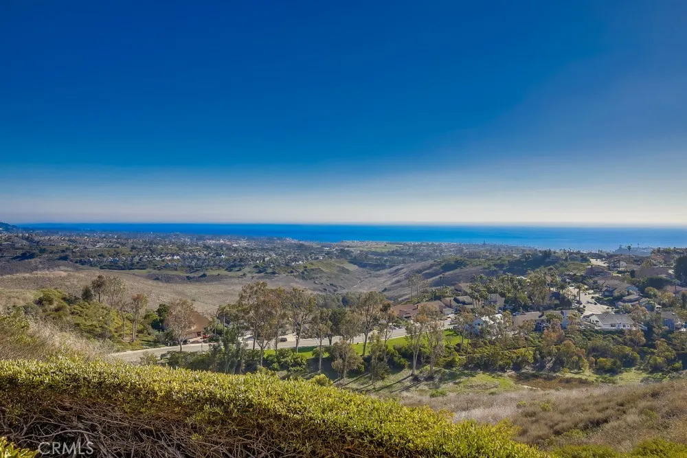 Additional image 119 of 2945 Via Blanco, San Clemente, CA 92673