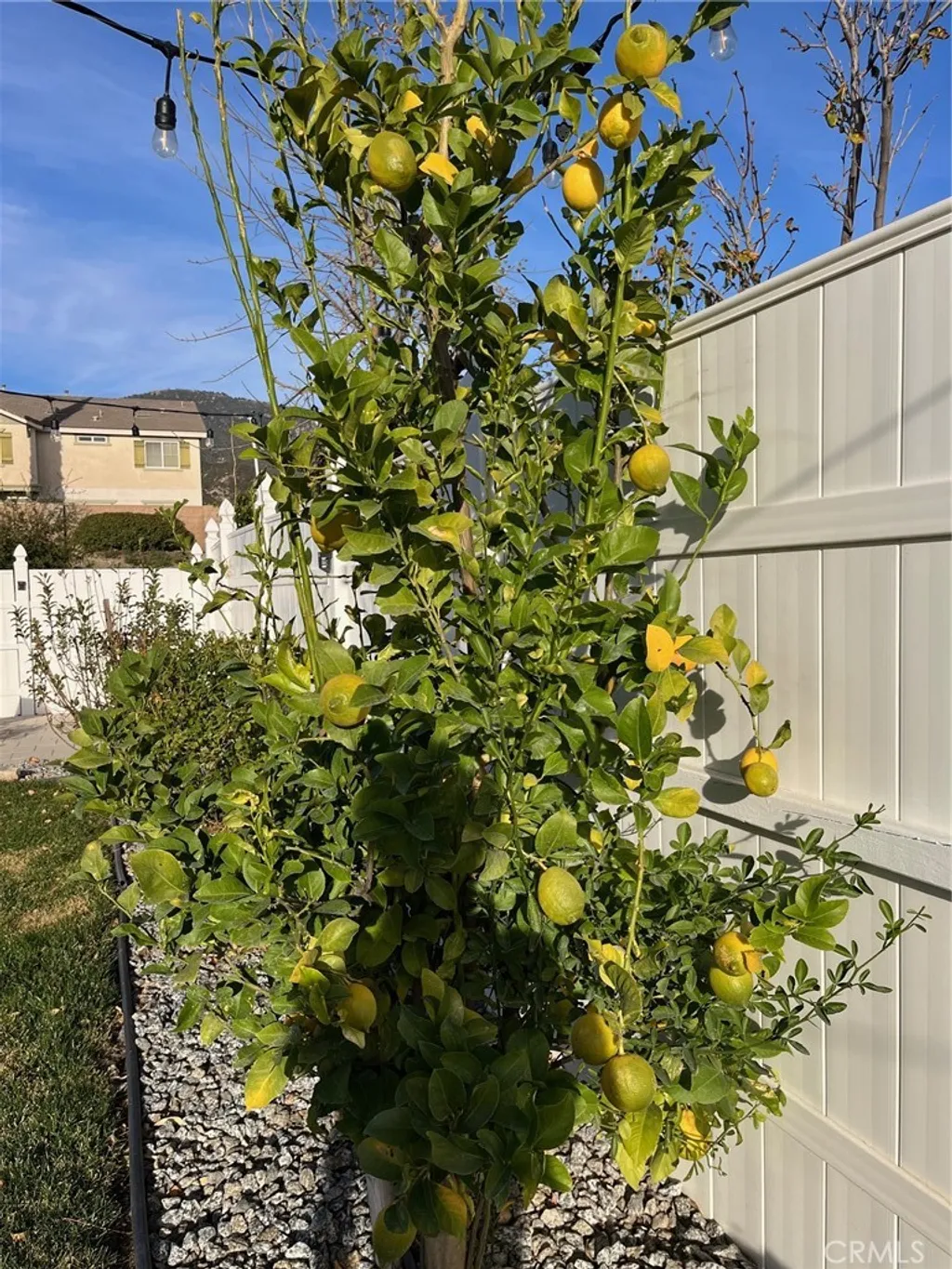 Additional image 44 of 6225 Mandy Ln, San Bernardino, CA 92407