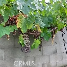 Additional image 36 of 1320 3 Ranch, Duarte, CA 91010