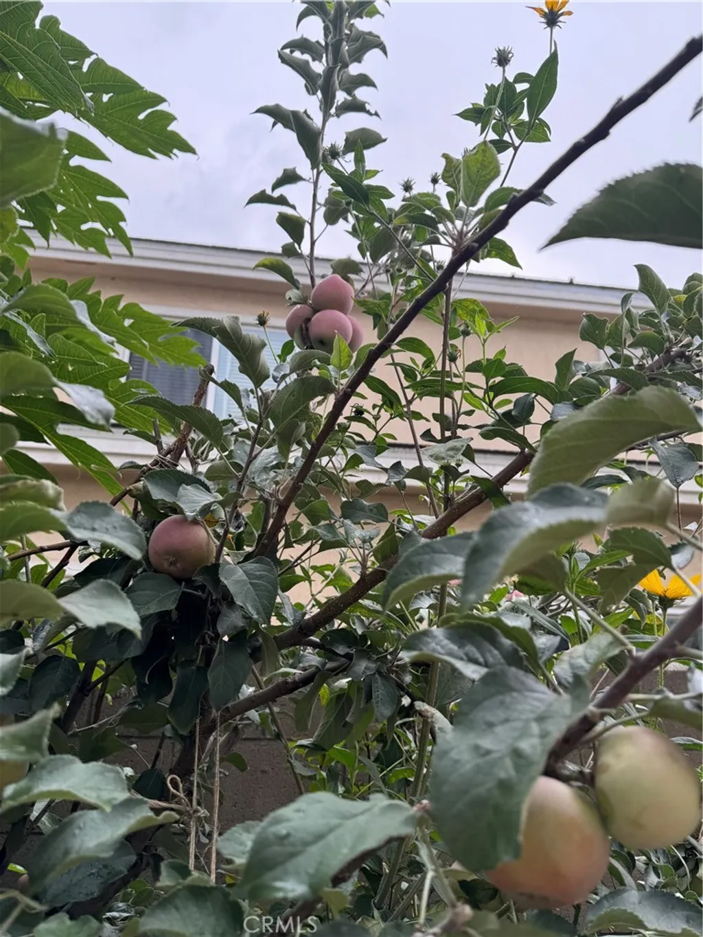 Additional image 29 of 5704 Sultana Avenue Unit D, Temple City, CA 91780